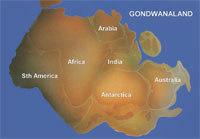 Суперконтинент Гондвана